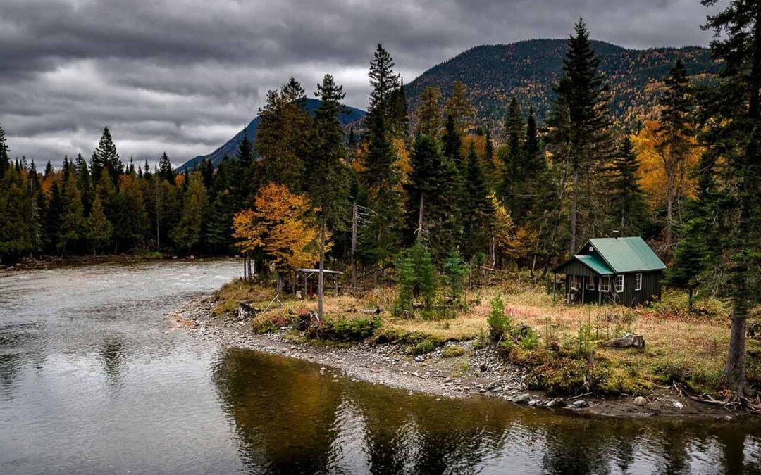 Społeczność tiny house