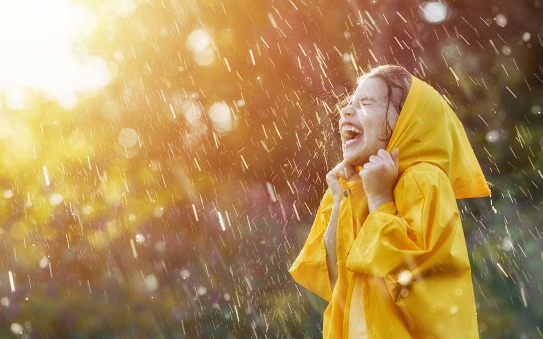 Propozycja współpracy.